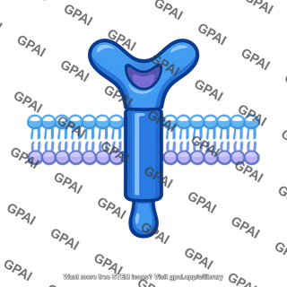 Host cell receptor