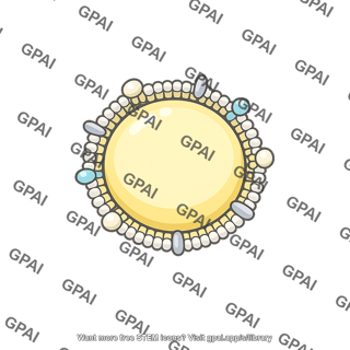 Chylomicron small