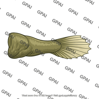 Lobe finned fish fin