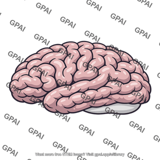 Cerebral cortex convoluted