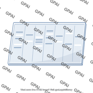 Electrophoretic gel