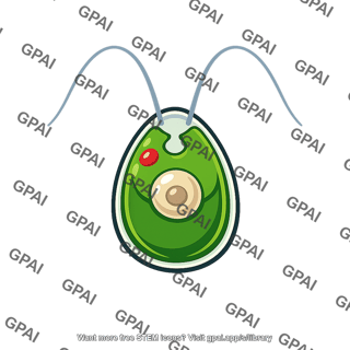 Chlamydomonas