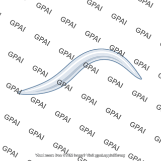 Juvenile nematode