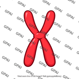 Maternal homologous chromosome