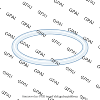 Vaginal ring