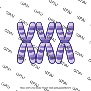 X chromosome trisomy