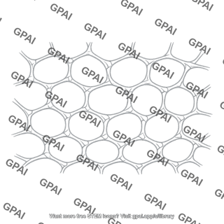 Connective tissue honeycomb
