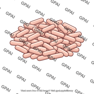 Pure culture bacteria