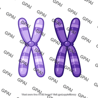 Chromosome homologous