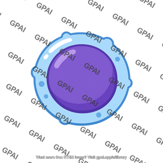 Lymphocyte immature