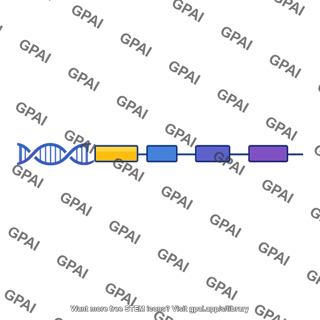Gene diagram