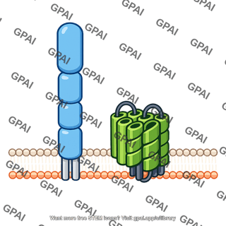 Hiv receptor complex