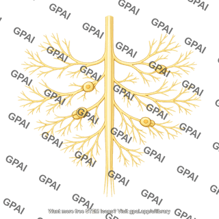 Branching nerve network