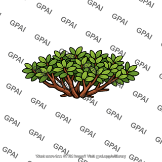 Dwarf shrub