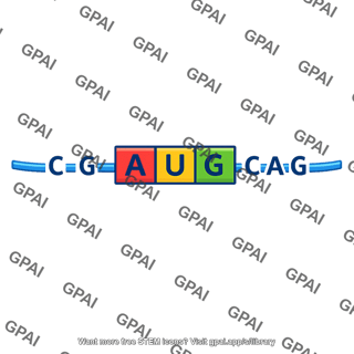 Mrna codon