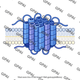 Multispan helical membrane protein