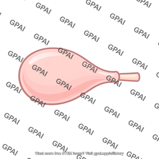 Spermatheca