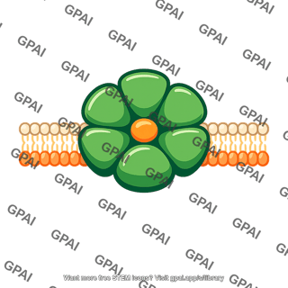 Cellulose synthesizing enzyme complex