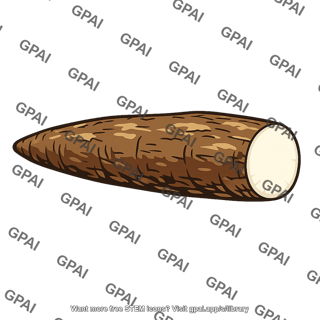 Cassava root