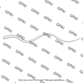 Smooth flagellum