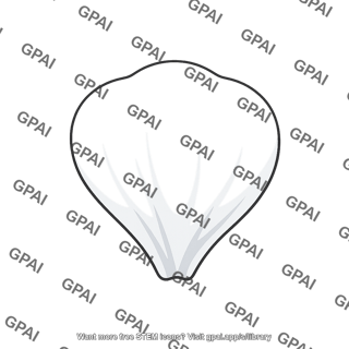 Petal white