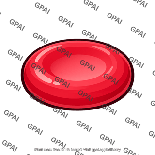Human red blood cell
