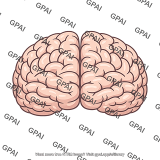 Cerebrum