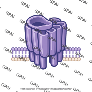 Endorphin receptor