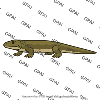 Tetrapod