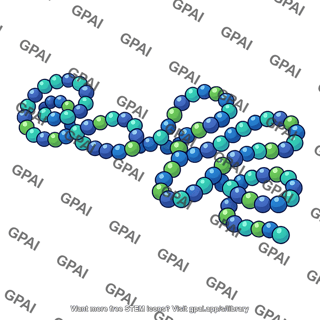 Macromolecule