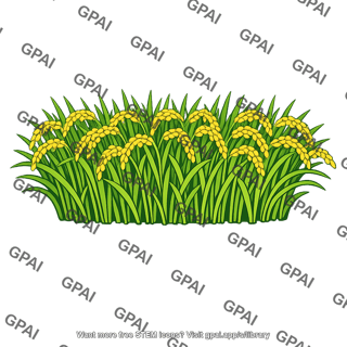 Field of rice