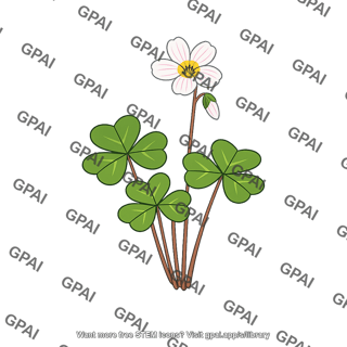 Alpine wood sorrel