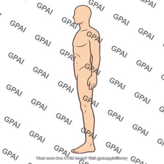 Human body profile