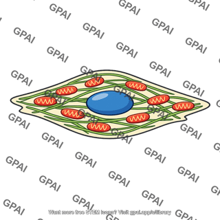 Mammalian cell