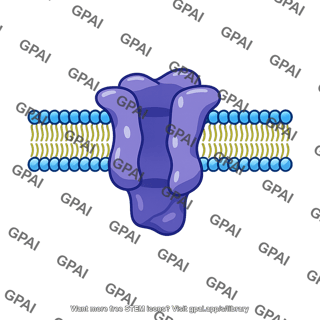 Integral protein