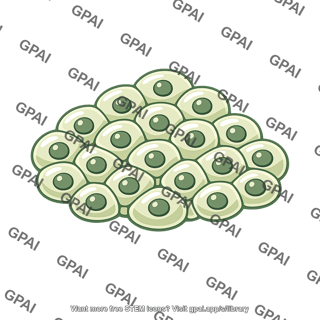 Multicellular eukaryote