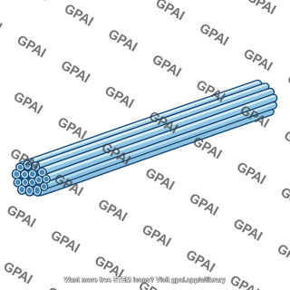 Microtubule bundle