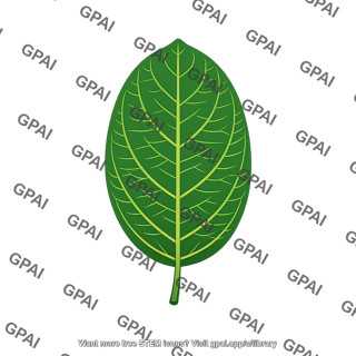 Green leaf