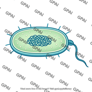 Prokaryote