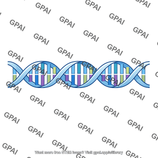 Dna double helix