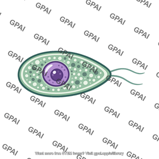 Parasite unicellular