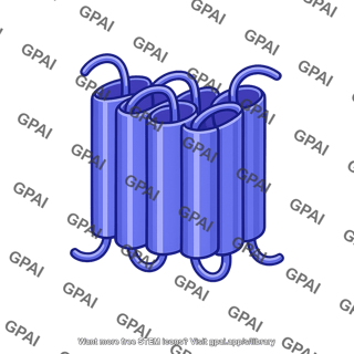 Gpcr structure