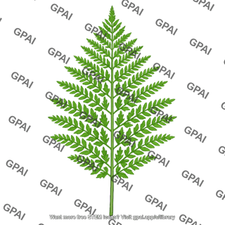 Compound leaf supercompound