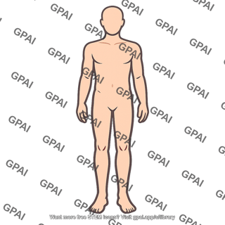Human body healthy