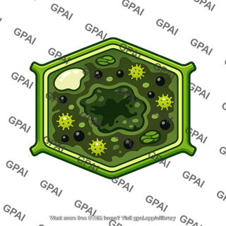Leaf cell infected