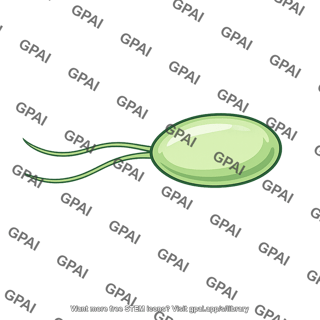 Biflagellated cell