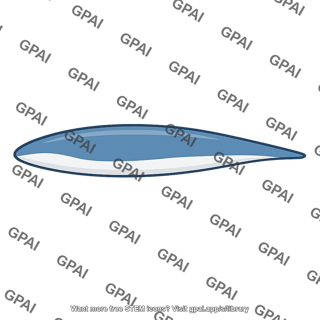 Streamlined body form