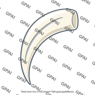 Venomous snake fang grooved