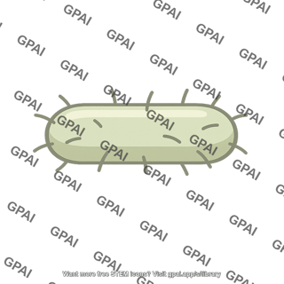 Rod shaped bacterium