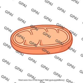 Mitochondrion reduced